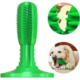 Cepillo dientes para mascotas